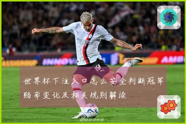 世界杯下注入口怎么安全判断冠军赔率变化及相关规则解读