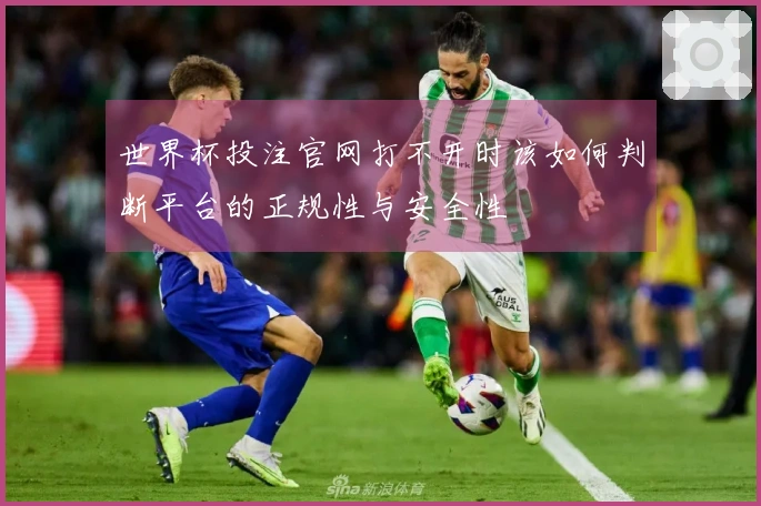 世界杯投注官网打不开时该如何判断平台的正规性与安全性