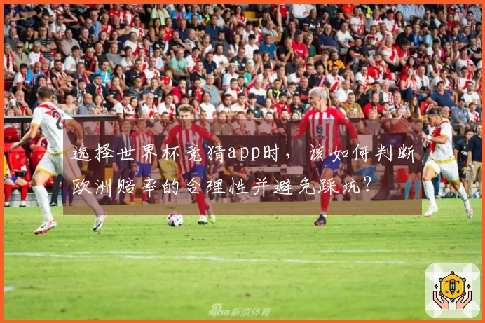 选择世界杯竞猜app时，该如何判断欧洲赔率的合理性并避免踩坑？