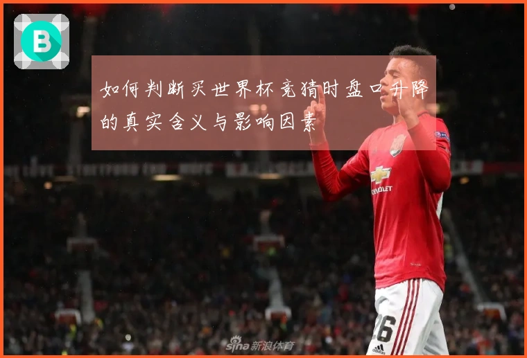如何判断买世界杯竞猜时盘口升降的真实含义与影响因素
