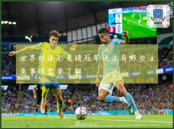 世界杯体彩竞猜冠军玩法有哪些注意事项需要了解