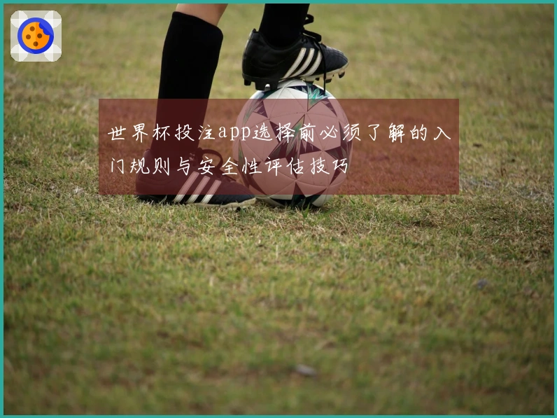 世界杯投注app选择前必须了解的入门规则与安全性评估技巧
